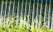 Turf Groom Artificial Grass