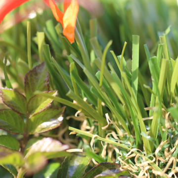 Best Synthetic Grass For Back Yards Garders C Blade 92 oz.