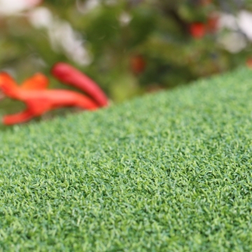 Putt-60 Bicolor