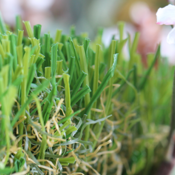 realistic looking artificial turf that's durable for pet areas and anywhere else.
