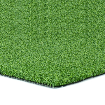 Putt-60 Bicolor